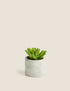 Marks & Spencer "Artificial Mini Succulent in Concrete Pot"